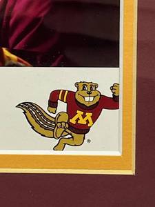 Minnesota Gophers Football TCF Bank Stadium (Minnesota 31 Penn State 26) 18.5 x 43.5 Professionally Framed Panoramic Photo (New Old Stock) - $100 Reserve