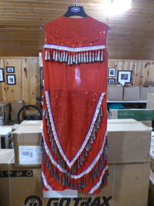 Hand Made Native American Jingle Dress