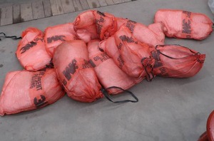 lot 11 image: 10 OIL SORBENT PILLOWS