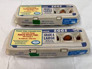 2x 1 Dozen Grade A Large Free Range Brown Eggs