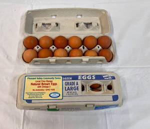 2x 1 Dozen Grade A Large Free Range Brown Eggs