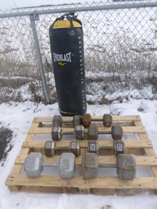 lot 64 image: 4 Sets of Dumbbell and Everlast Punching Bag
