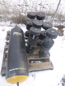 lot 65 image: 6 Sets of Dumbbells and Everlast Punching Bag