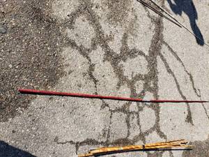 lot 142 image: Cane Poles