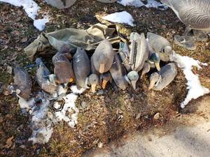 lot 238 image: Duck Decoys #2