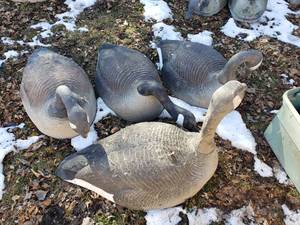 lot 240 image: Lot of 4 Large Goose Decoys
