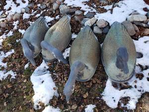 lot 243 image: Lot of 4 Goose Large Decoys
