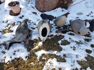 lot 248 image: Misc. Lot of Goose Decoys