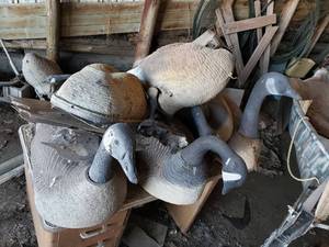 lot 266 image: Pile of Goose Decoys