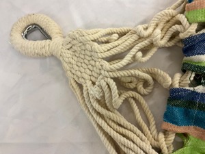 lot 55 image: tree Hammock