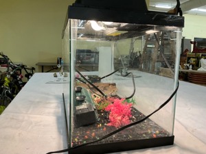 lot 90 image: Aquarium with light & pump