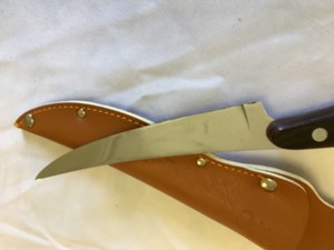 lot 124 image: Buck Knife with LEather Sheath
