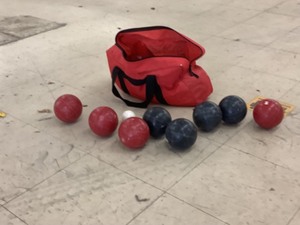 lot 161 image: Bocce Ball Set