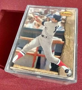 Stack of 1994 Ted Williams Cards - Many Old Time Stars
