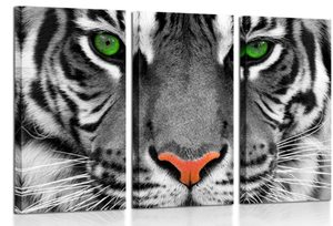 lot 212 image: KREATIVE ARTS Large 3 Pieces Canvas Prints Wall Art Green Eyed Tiger Poster Printed On Canvas16x32inchx3pcs