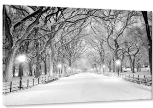 lot 226 image: Beautiful Winter Canvas Wall Art Print on Canvas Modern Bedroom Living Room Home Decor 36 x 24