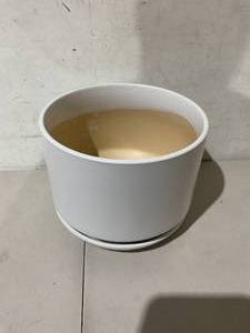 lot 304 image: LE Tauci Ceramic Plant Pot