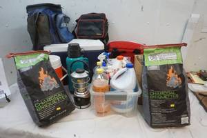 lot 20 image: Coolers, kitchen cleaners, charcoal briquettes and canning jars