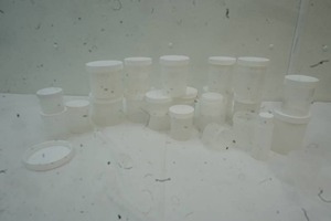 lot 77 image: Variety of Small Plastic Storage Containers