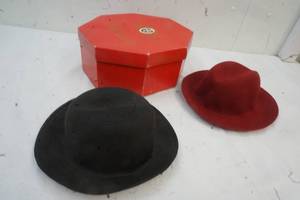 lot 254 image: 2 Womens Hats