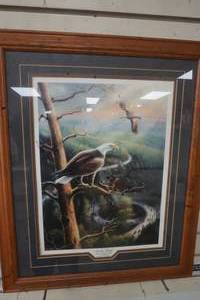 lot 430 image: Framed & Matted Eagle American Beauty