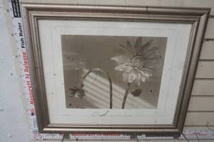 lot 432 image: Picture James Ware Peony Flower & Bud