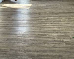 lot 191 image: Vinyl Plank Flooring (420 sf)