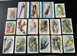 lot 77 image: Vintage Plane and Bird Cards Lot of 17 Useful Birds of America and Aeroplanes Series C and D