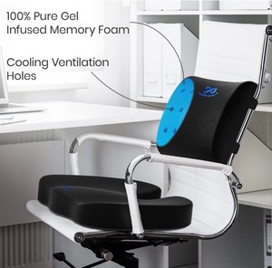 lot 38 image: Everlasting Comfort Lumbar Support and Seat Cushion Combo