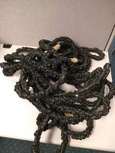 lot 23 image: Flexible Garden Hose wNew Sprayer