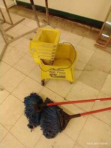 lot 300 image: Mop Bucket & Mops
