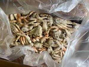 lot 53 image: Clawless Jonah Crab Clusters - 35Lbs Best by 04252025