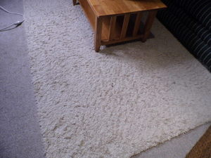 lot 191 image: 57 off-white shaggy style area rug