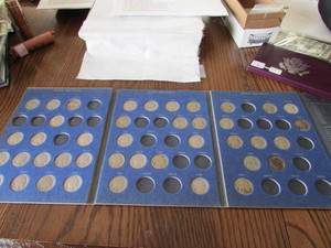 Buffalo Nickel Collection