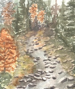lot 57A image: Bubbling Brook Framed Print by Sharon Houg