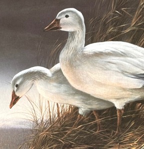 lot 135 image: Snow Geese Limited Edition Signed Print by Terry Redlin