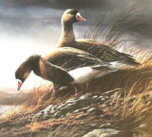 lot 136 image: White-Fronted Geese Limited Edition Signed Print by Terry Redlin