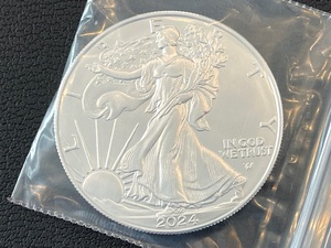 lot 39 image: 2024 Silver Eagle