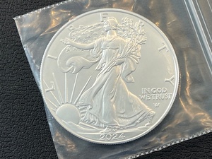 lot 56 image: 2024 Silver Eagle