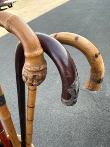 WONDERFUL Brass Cane Stand With Antique Canes
