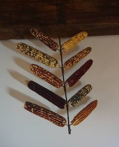 lot 19 image: Primitive-Style Old Iron Ear Corn Dryer Hanging Rack wIndian Corn