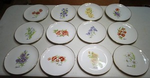 lot 183 image: Collectible Royal Ann Fine China 12-Month Floral Decorative Plate Collection