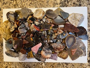 lot 702 image: RockHounds Agate Fossil Collectors