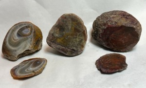 lot 705 image: RockHound Agate Stone Collectors...