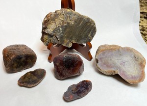 lot 706 image: RockHound Agate Stone Collectors
