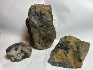 lot 712 image: RockHound Agate Stone Collectors