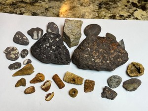 lot 713 image: RockHound Stone Fossil Collectors