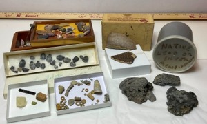 lot 717 image: RockHound Fossil Agate Stone CollectorsTrilobite and More