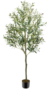 Olive Tree Artificial Indoor