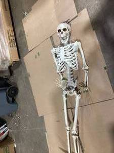 Halloween Skeleton 60x16